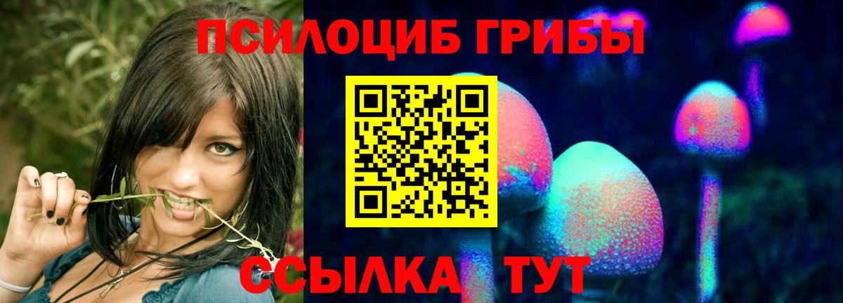 Галлюциногенные грибы Cubensis  Галлюциногенные грибы Psilocybe  Шадринск  хочу наркоту  Вход с VPN 